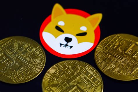 shiba inu coin gucci|is shiba inu worth buying.